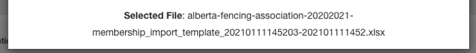 Screen Shot 2021-01-11 at 3-23-09 PM-png